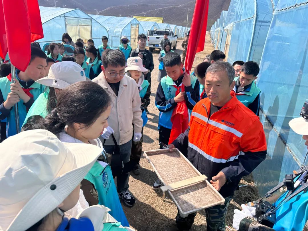 在察尔森镇农场