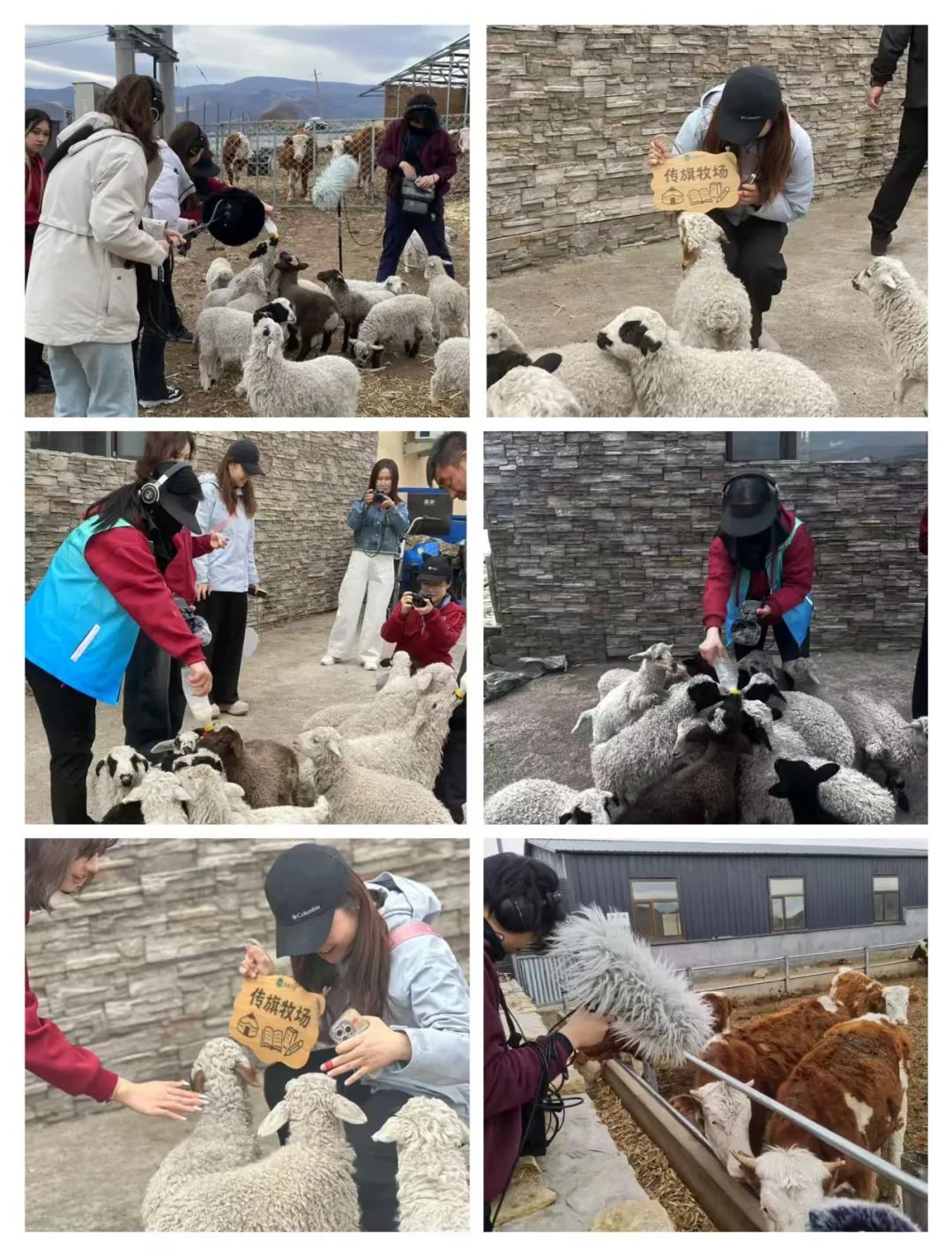 王睿开启了无限的想象