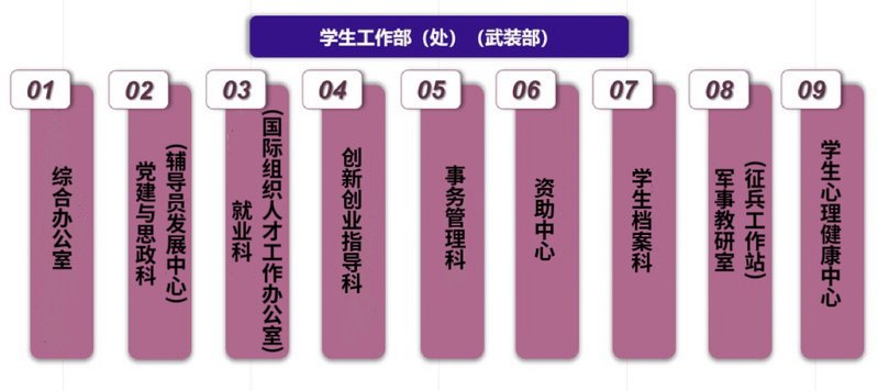 北京市朝阳区定福庄东街1号