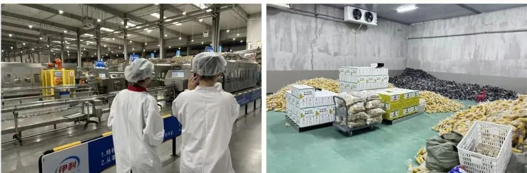 更是连接自然与文化
